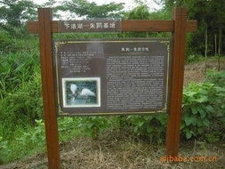 德清县乾元宏星木材防腐加工厂 户外广告产品列表